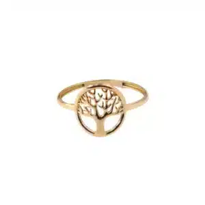 انگشتر افسون