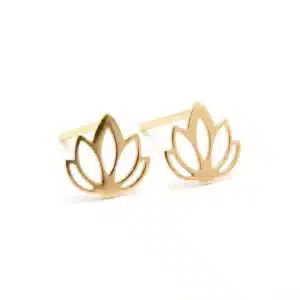 گوشواره نارا